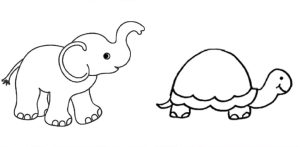 photo of a line drawing of an elephant and a turtle
