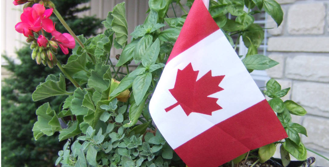 photo of a Canadian Flag