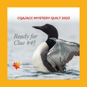 Clue #4 - The Loon!