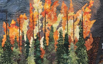 After the Fires – Best in Show