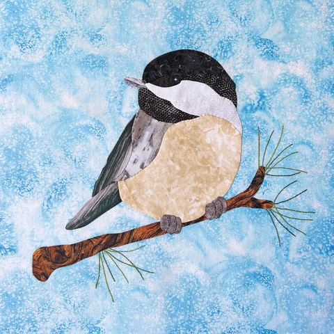 Pictorial Hand Applique - David Taylor - 8:30 am – 4 pm