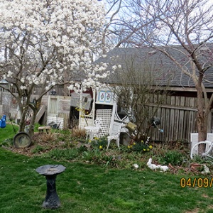 Jayne B, St Catharines, ON